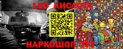 бошки Кингисепп