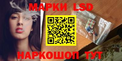 дмт Кинель