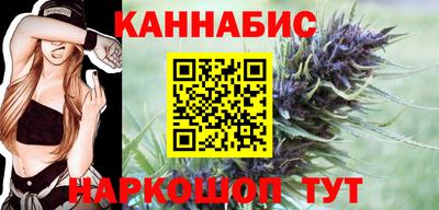 бошки Кингисепп