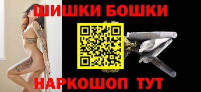 бошки Кингисепп