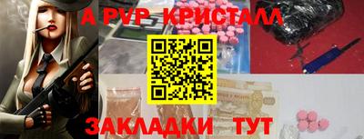 бошки Кингисепп