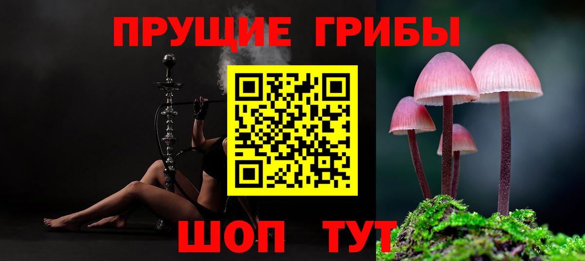 Глазов  Псилоцибиновые грибы Magic Shrooms  Вход с VPN 